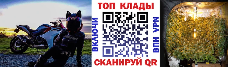 Где можно купить наркотики Черняховск Бошки Шишки  Alpha PVP  Меф  COCAIN 