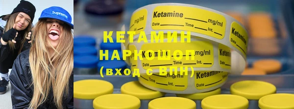 сатива Балахна