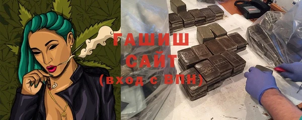 сатива Балахна