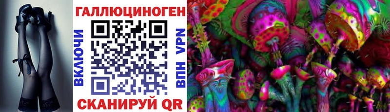 Псилоцибиновые грибы Cubensis  дарк нет формула  Черняховск 